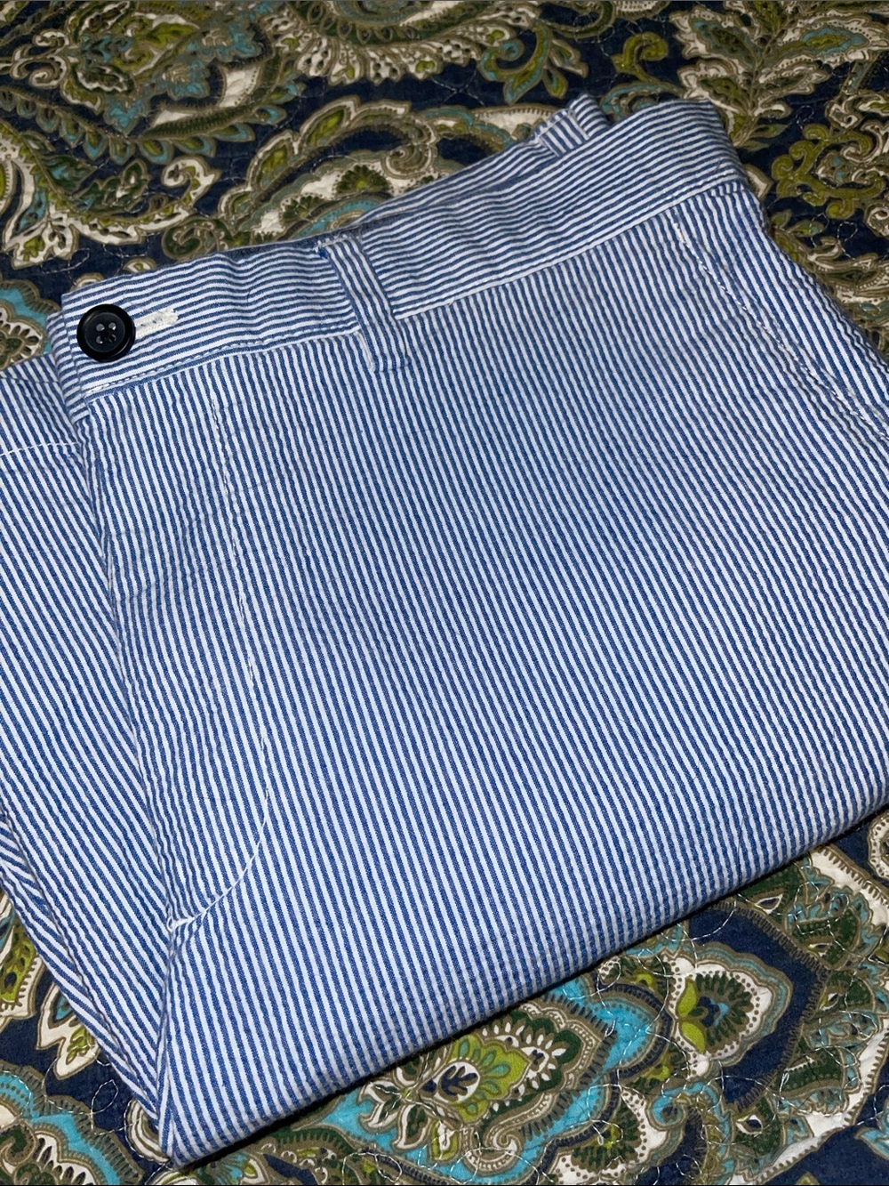 Banana Republic Blue and White Striped Seersucker Shorts Size 34